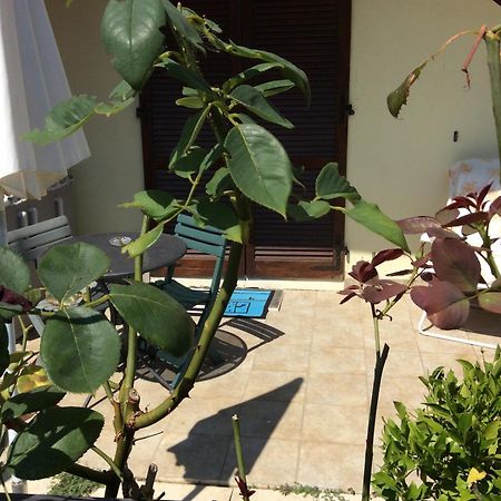 Affitto Appartamento Sul Mare Senigallia Exterior foto